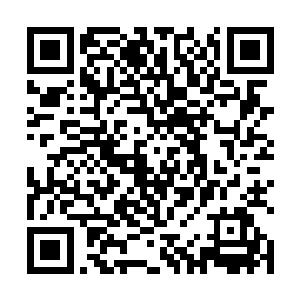 那八块仙晶落入到地灵族族长布设的仙阵之中消失不见二维码生成