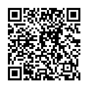 那兰花立即飘到了他的另一侧与那细竹一左一右的悬浮着二维码生成