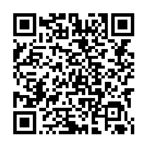 那具如幼儿舨一直陷入沉睡的魂魄终于有了动静二维码生成