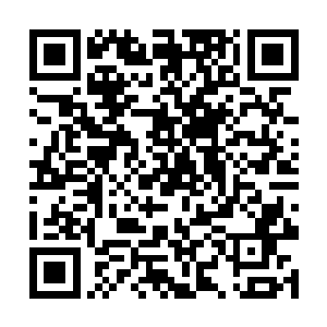 那冰冷的目光落在她的身上仿佛是在看一个死人一般二维码生成