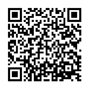 那冰寒的意境和法则之力竟将自己释放出去的神识都冻坏了二维码生成