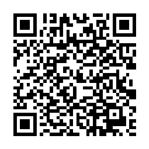 那冲上去的透明大鱼竟给真大黑熊一巴掌就拍了出来二维码生成