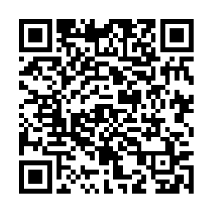 那冲来的碧睛鲅鱼族人在这股突如其来的威压之下二维码生成