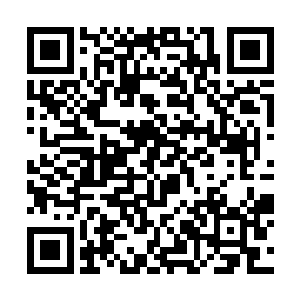 那几个大乘期修士便将目光向着许紫烟等人望了过来二维码生成