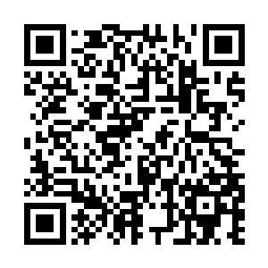 那几个掌柜虽然没有招认庆江商行或庆国官员参与二维码生成