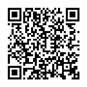 那几个被两兄弟扇飞出去的打手护卫已经引起了一点骚动二维码生成