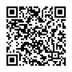 那几个迅速撤离的蛮族战士陡然发现自家的巫没跟上二维码生成