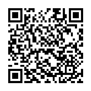 那几个阴魂有些虚幻的脸庞上纷纷浮现出一丝惊惧之色二维码生成