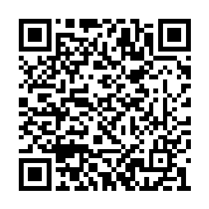 那几具尸体当中的身上就有这种利爪留下的痕迹二维码生成