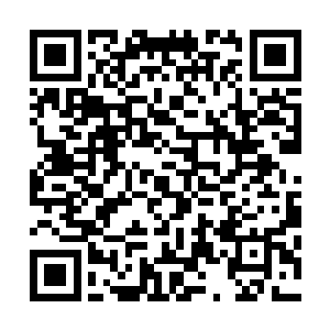 那几具尸体赫然正是刚才因为贪婪而闯入这里面的那几个人二维码生成