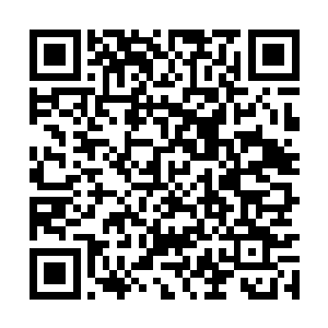 那几头大如牛犊般的恶狼居然给这一刀就斩成碎片二维码生成