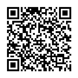 那凭什么夏一天有了我家梦彤还要当场侵犯一个女弟子二维码生成