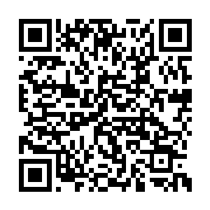 那出来低头的金仙见状只愈发诚恳的又道了一遍二维码生成