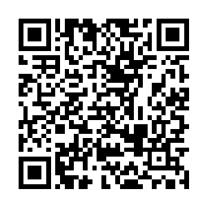 那分别击杀了三只戒灵的零点与赵樱空岂不是发了二维码生成