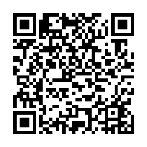 那刚刚与这胆小师兄求学于同一位先生的风流男子打趣道二维码生成