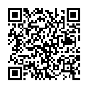 那到时候他体内的蛇皇血脉或许会给他带来预想不到的结果二维码生成