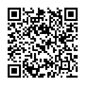 那前台的美女见到保安头子都被这几个青年给揍了二维码生成