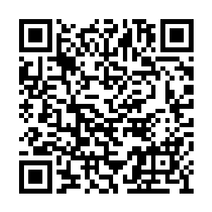 那动作漂亮干脆得就像是参加运动会的奥运冠军二维码生成