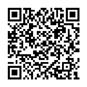 那十几位地仙五重天的强者一脸阴沉的盯着秦宇二维码生成