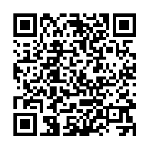 那却是因为西方教两位教主不愿意自降身份出手杀他二维码生成