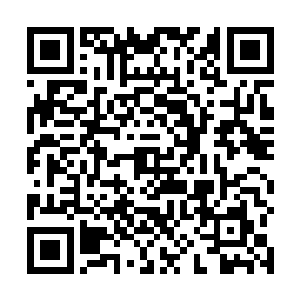 那原和严承憬斗嘴的公子这会儿子也瞧到李鸾儿的正脸二维码生成