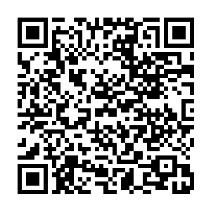 那原本在血海之中掀起无尽血浪的白色巨蟒也重新化为了那曼殊沙华之剑二维码生成