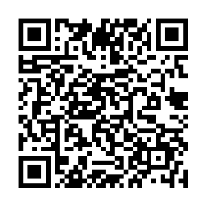 那原本就巨大无比的浩劫裂缝被那两只手掌上下一撑二维码生成