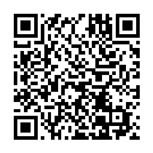 那原本早就已经进了宫去的凤羽珩怎么转身就又出来了二维码生成