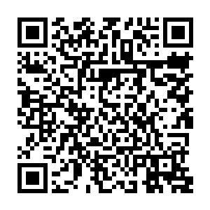 那原本站起身来的刘小嫣被白沧海这措不及防的威压直接倒在了下方的座位上二维码生成