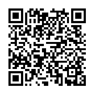 那原本霸道的身影不知为何在他眼中显得有些萧索二维码生成