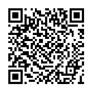 那又是一场并不比倭奴尸兄之乱危害更小的动乱二维码生成