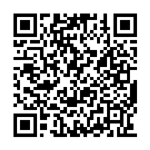 那双对生命充满漠然的眸子淡淡的盯着冷无情道二维码生成