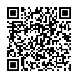 那双琥珀色的眸子里可以清晰看到不可置信的光芒二维码生成