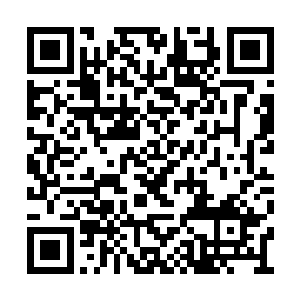 那双赤红的眼睛和中央纯黑色显得更是桀骜不驯二维码生成