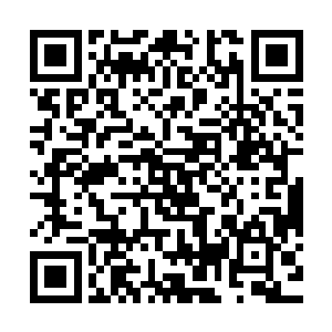 那只会导致日本自卫队三军联动的来一场山地野战军演习好不好二维码生成