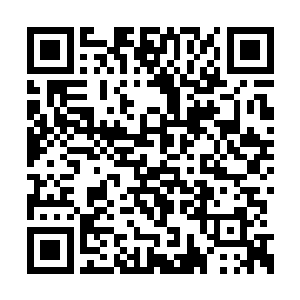 那只圣级大圆满后期巅峰混沌兽猛然咆哮了一声二维码生成