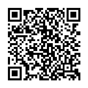 那只夜叉似是在疑惑自己刚才感应到的生机为什么又突然消逝了二维码生成