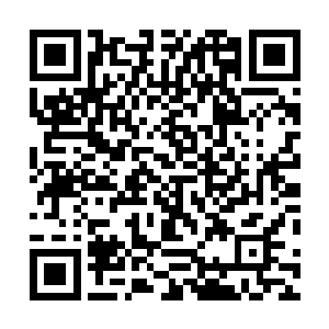 那只大乌龟始终都老老实实的待在一边一动都不敢动……二维码生成