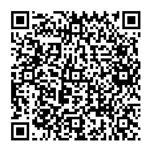 那只守护者熔火灵脉的守护兽却未必在乎这一点……它会将任何试图觊觎熔火灵脉的生物全部斩杀二维码生成