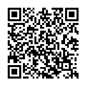 那只扑起来一人多高的白虎就猛的撞到墙上去了二维码生成