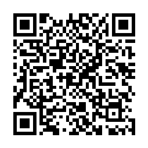 那只数百丈的恐怖岩石巨掌依然死死的掐住了娲蛇神的身体二维码生成