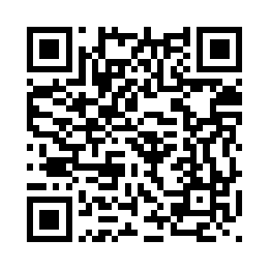 那只狗给我的是……这是一张卡片二维码生成