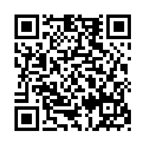 那只猫一进在追尾巴上的布条却怎么都追不上二维码生成