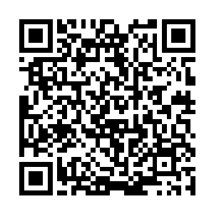 那只色彩鲜艳的老鼠头正用一种滑稽的神情盯着洪涛二维码生成