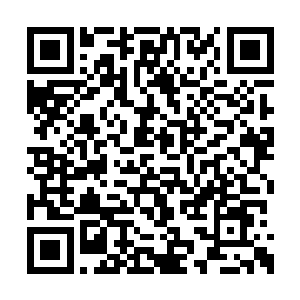 那只黑猩猩就好像是看到了什么好吃的东西一样二维码生成