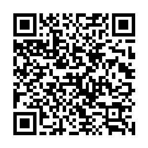 那可就不妙了……因为他和统治这座城市的大鱼比起来二维码生成