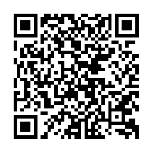 那可是一个宗师级中期高手在生命弥留之际给他们传递的信息二维码生成