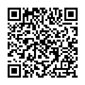 那可是在整个红尘天外天都能横着走的超级势力二维码生成