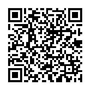 那名一袭白衣背着宝剑的女子有点不悦地瞪了莫凡一眼二维码生成