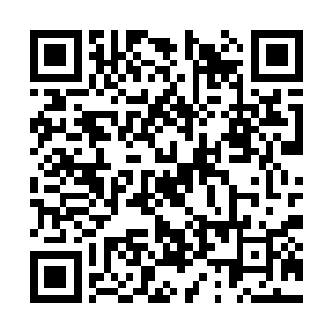 那名为首男子冷冷的看了前方疾驰而行的校车一眼二维码生成